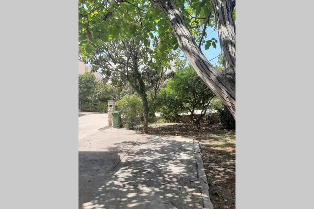 סופטאר Giovanna - Spacious Lovely Apartment מראה חיצוני תמונה