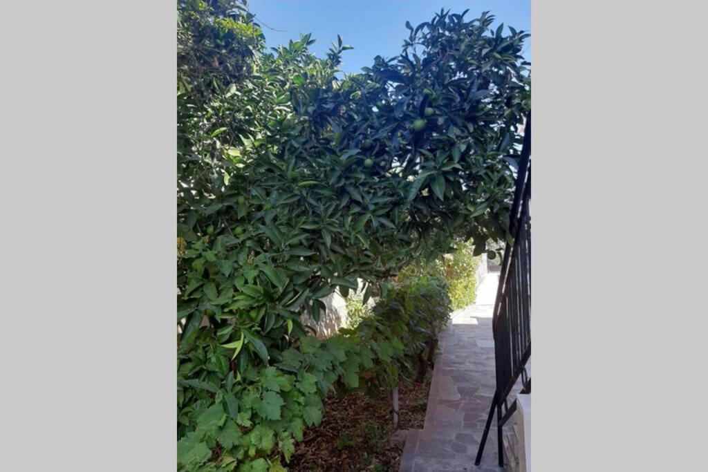 סופטאר Giovanna - Spacious Lovely Apartment מראה חיצוני תמונה